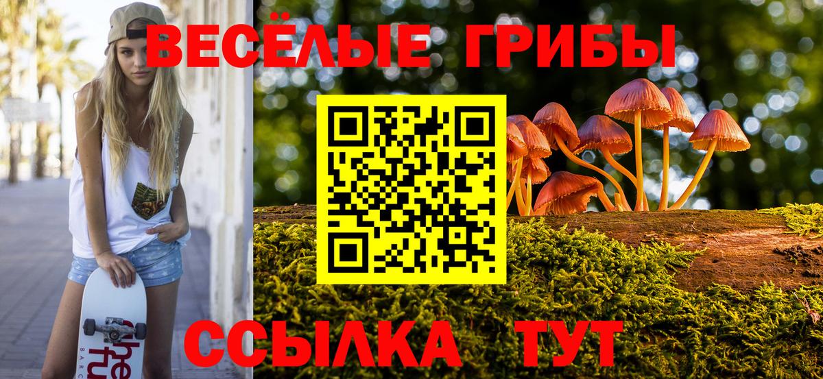 Галлюциногенные грибы ЛСД  Вход с VPN  Псилоцибиновые грибы GOLDEN TEACHER  Сосновый Бор 