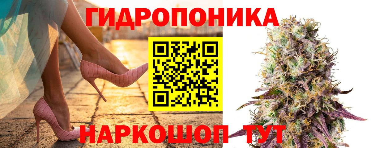 Марихуана ГИДРОПОН  Вход с VPN  МАРИХУАНА планчик  Сосновый Бор  Канабис план 